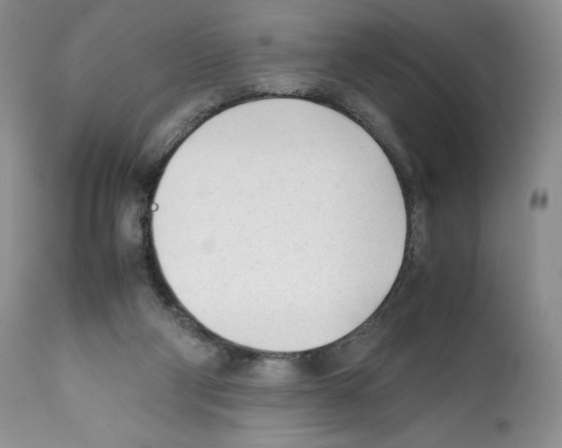X0000112050114200909151012