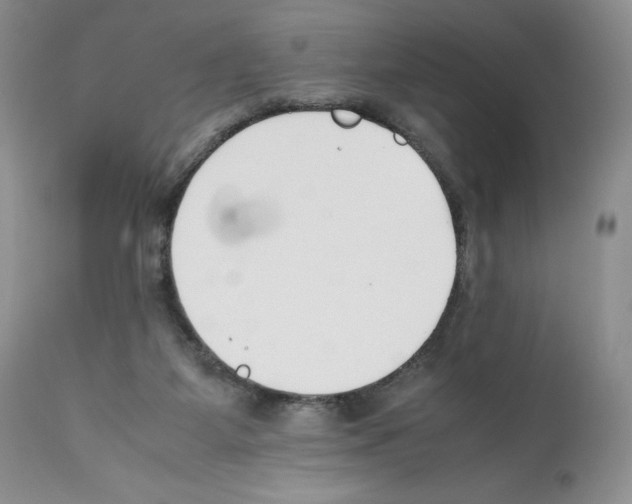 X0000112050115200909151012
