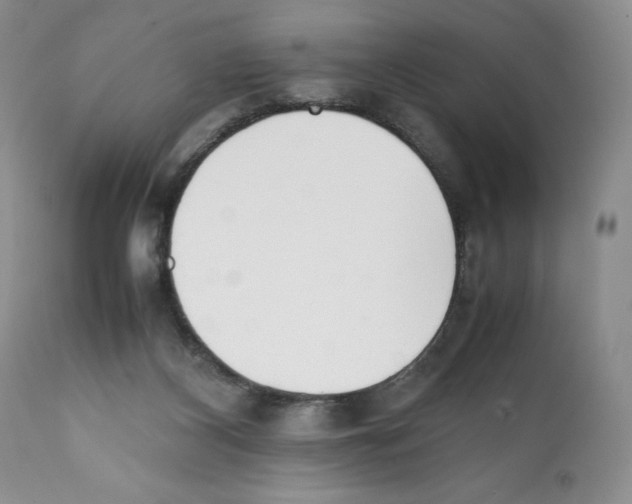 X0000112050116200909151012