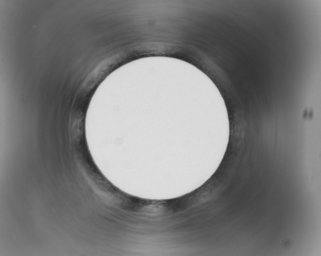 X0000112050119200909151012