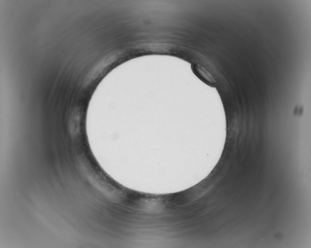 X0000112050120200909151012