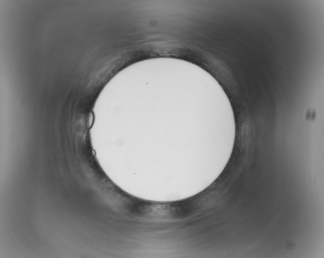 X0000112050121200909151012