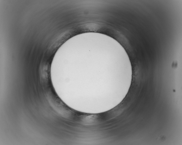 X0000112050122200909151012