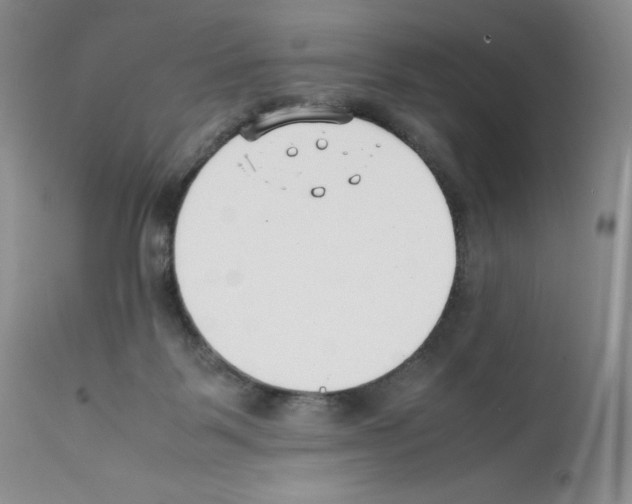 X0000112050123200909151012