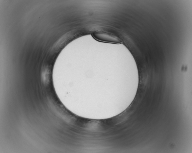 X0000112050124200909151012