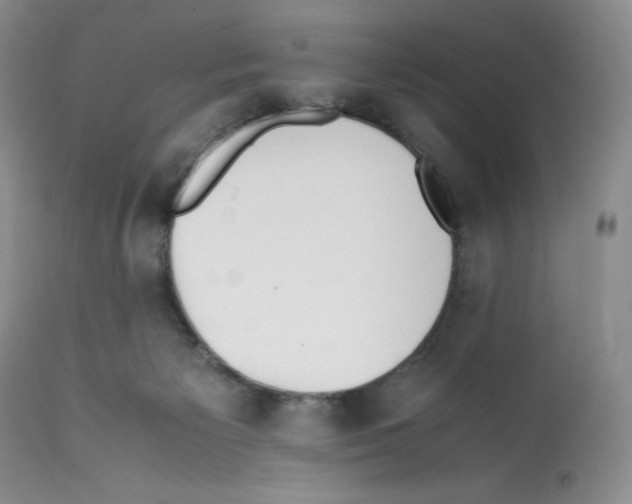 X0000112050125200909151012