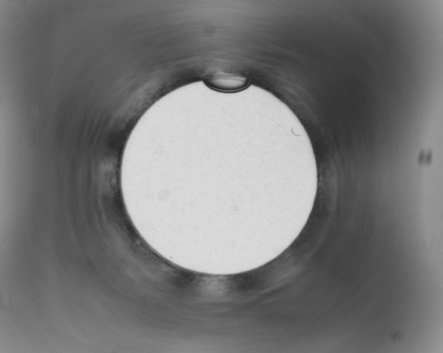 X0000112050127200909151012