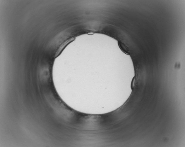 X0000112050128200909151012