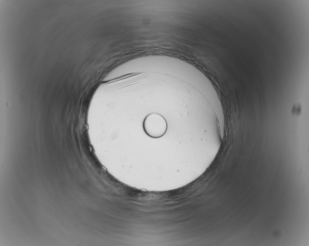 X0000112050129200909151012