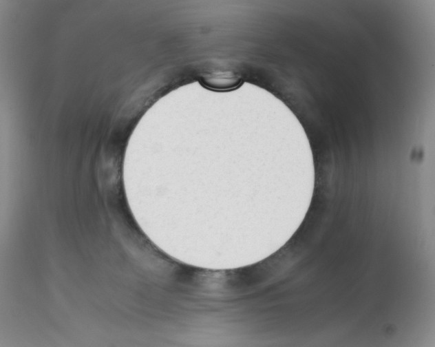 X0000112050131200909151012