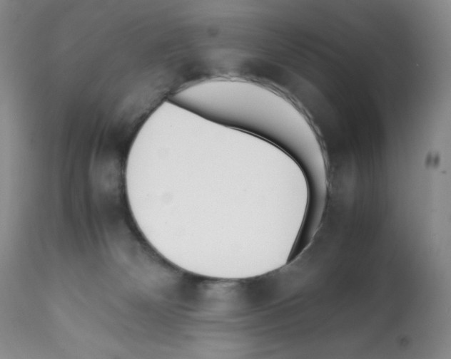 X0000112050132200909151012