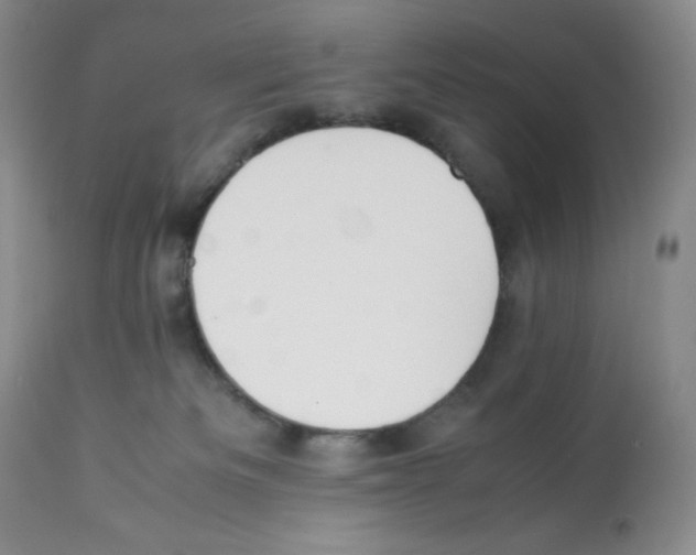 X0000112050133200909151012