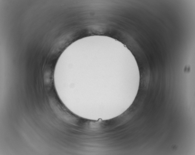 X0000112050134200909151012