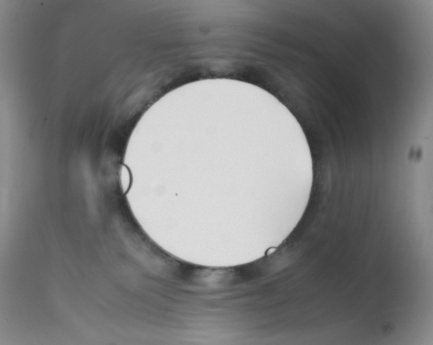 X0000112050135200909151012