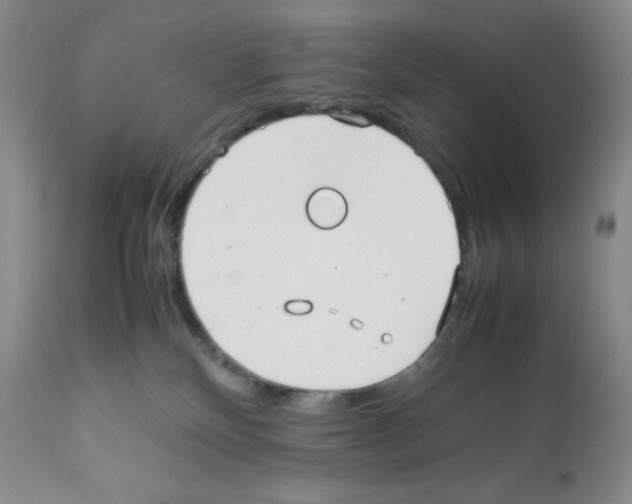 X0000112050136200909151012