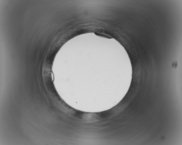 X0000112050137200909151012
