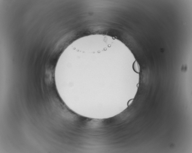 X0000112050138200909151012