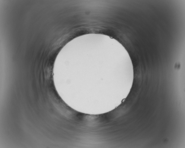 X0000112050139200909151012