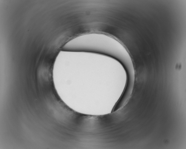 X0000112050140200909151012