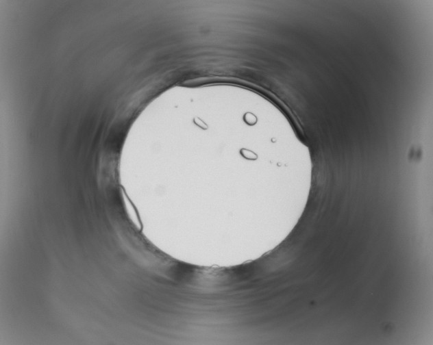 X0000112050141200909151012