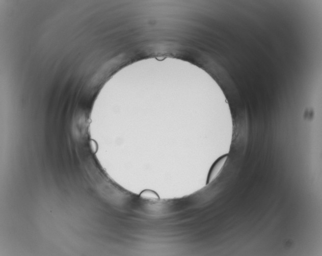 X0000112050142200909151011