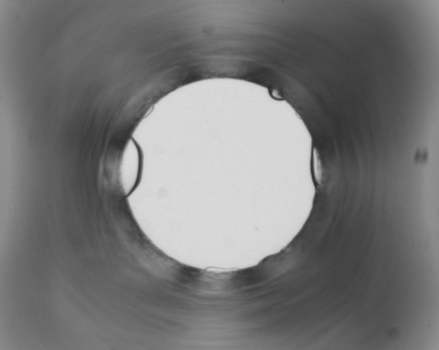 X0000112050143200909151011