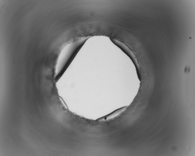 X0000112050144200909151011
