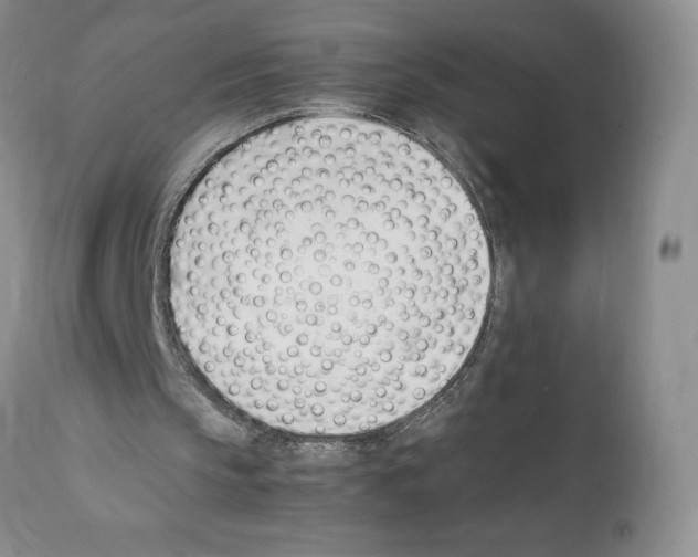 X0000112050145200909151011