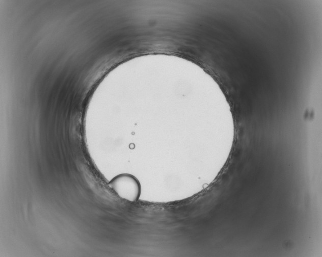 X0000112050146200909151011