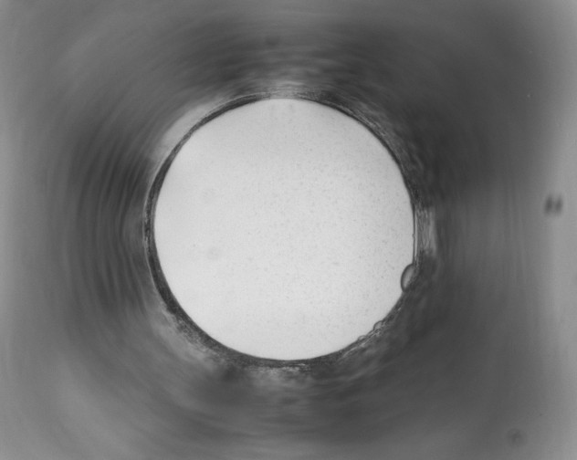 X0000112050147200909151011