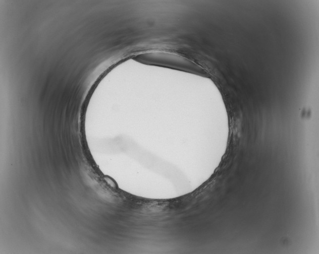 X0000112050148200909151011