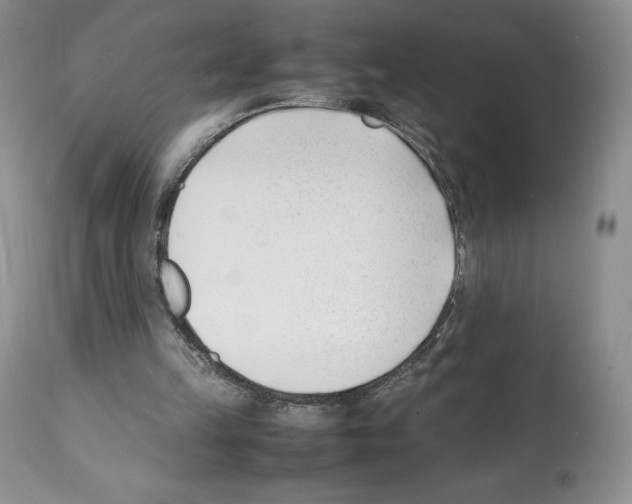 X0000112050149200909151011