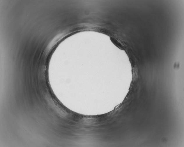 X0000112050150200909151011