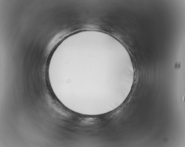 X0000112050151200909151011