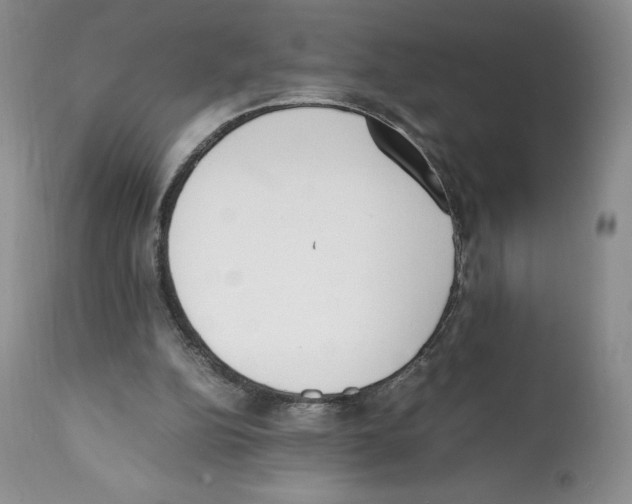 X0000112050152200909151011