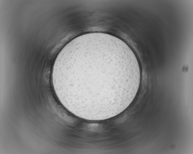X0000112050153200909151011