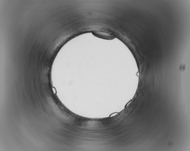 X0000112050154200909151011