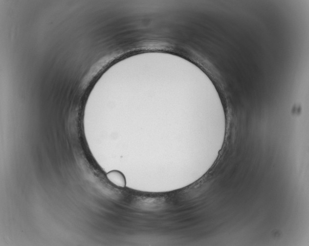 X0000112050155200909151011