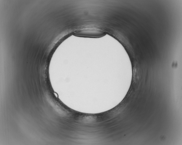 X0000112050156200909151011