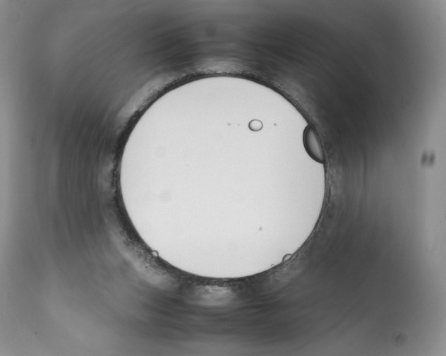 X0000112050159200909151011