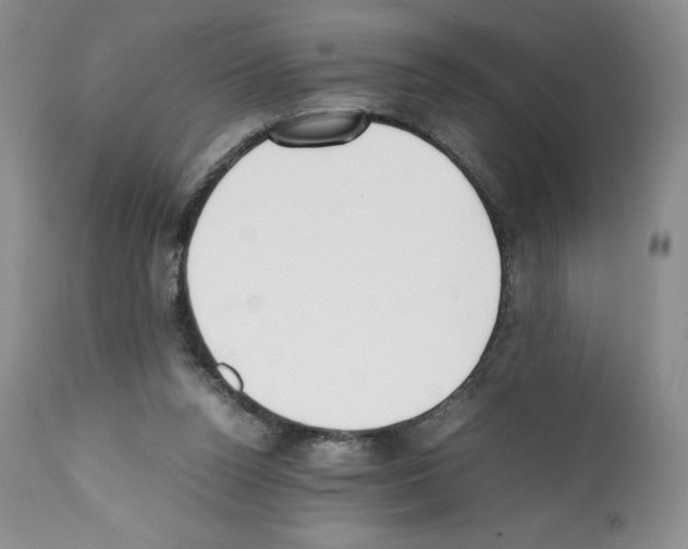 X0000112050160200909151011