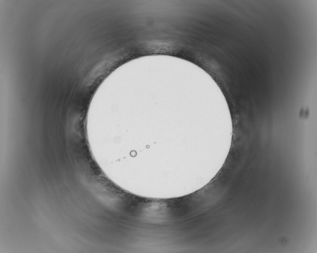X0000112050162200909151011