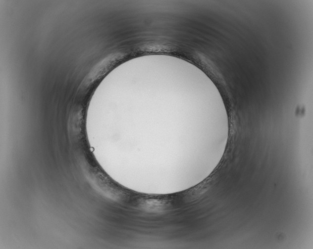 X0000112050163200909151011