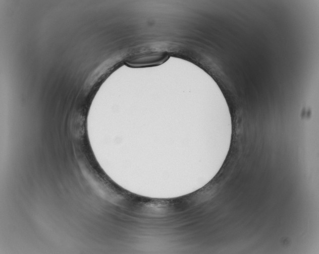 X0000112050164200909151011