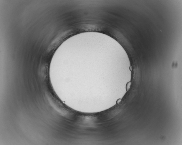 X0000112050165200909151011