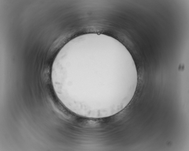 X0000112050166200909151011