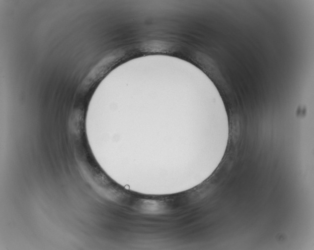 X0000112050167200909151011