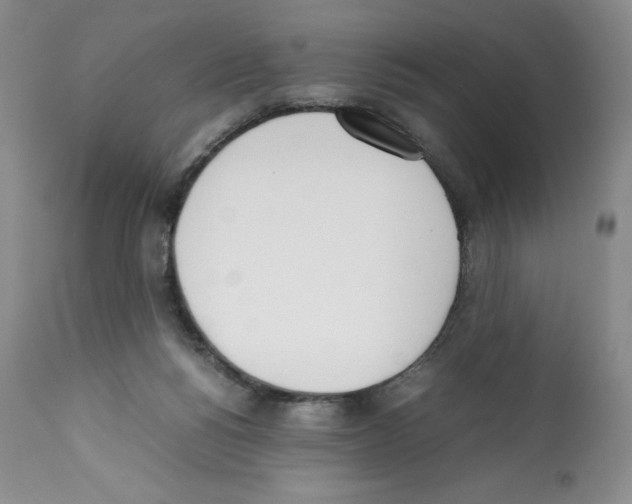 X0000112050168200909151011