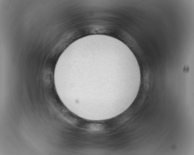 X0000112050169200909151011