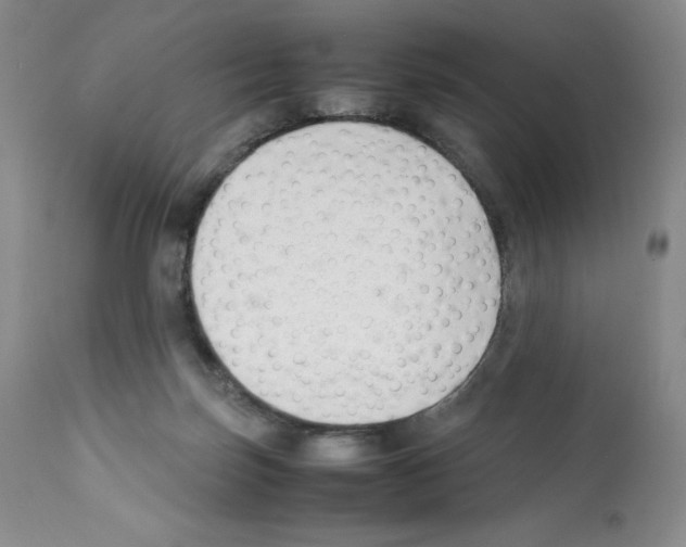 X0000112050171200909151011